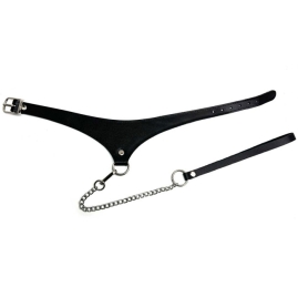 Ошейник с поводком Black Phoenix